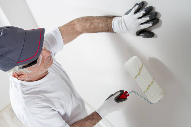Best Mold Odor Removal Services  in Pitman, NJ