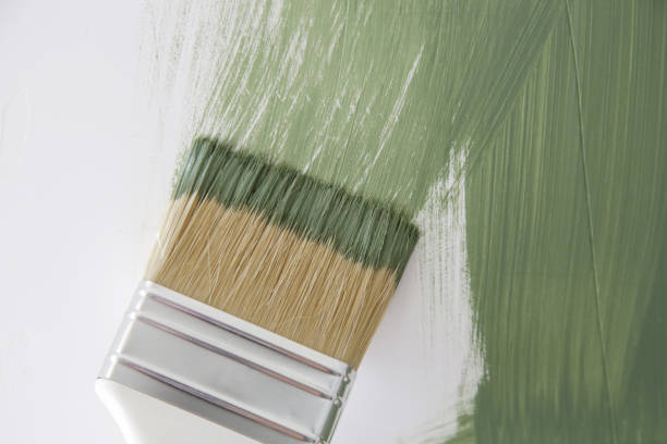 Professional Mold Removal in Pitman, NJ